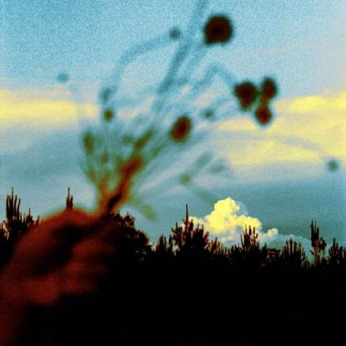 سجاد رشیدی بی تو یه بی اعصاب تنیام